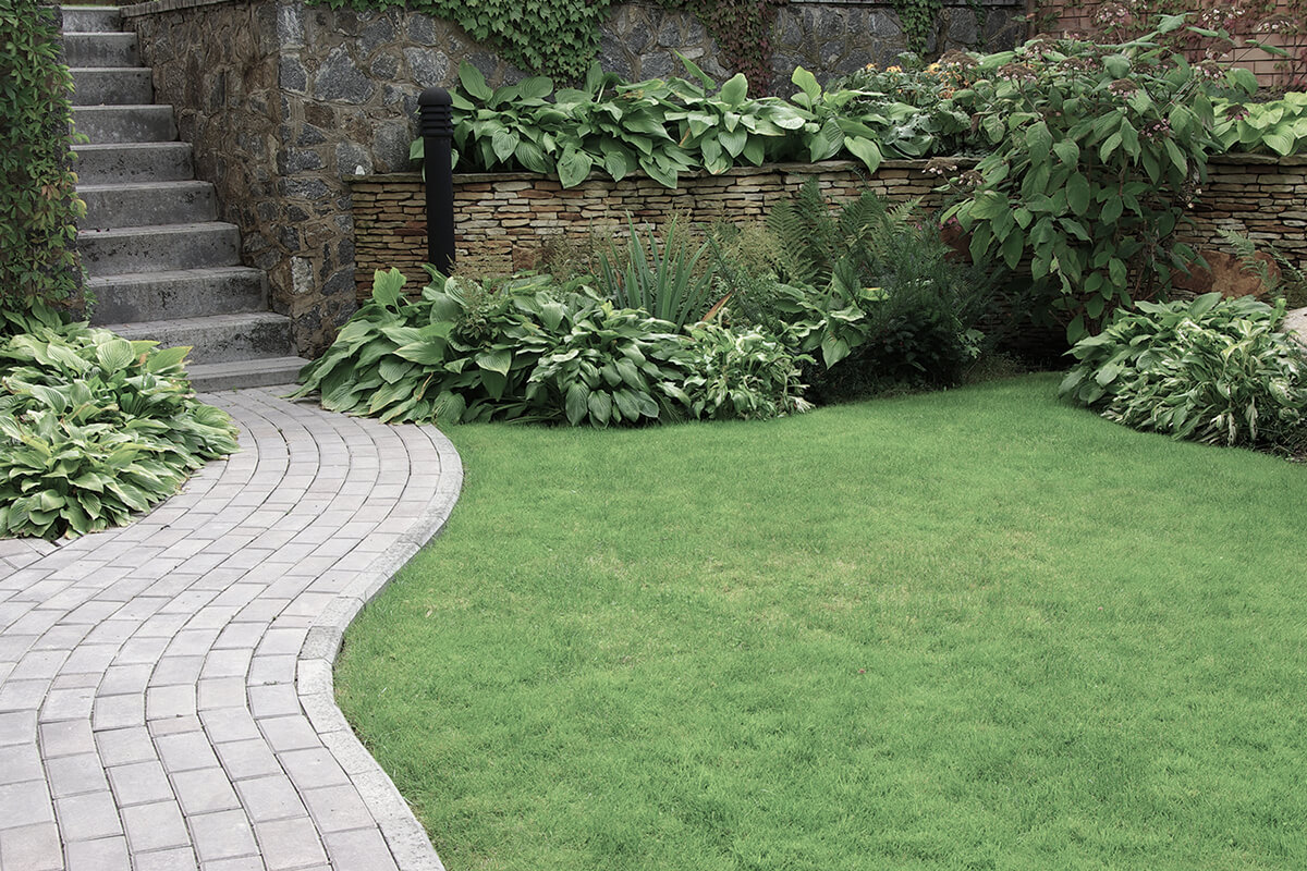 Welcome to RB Landscaping